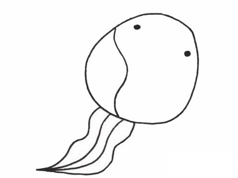 蝌蚪简笔画图片大全作品二