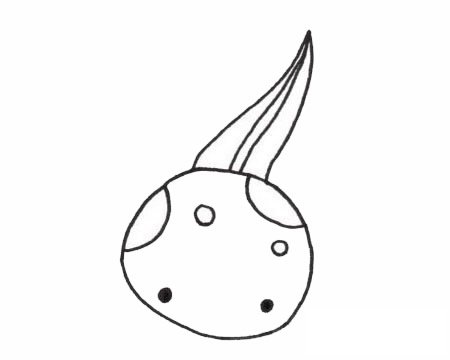 蝌蚪简笔画图片大全作品一