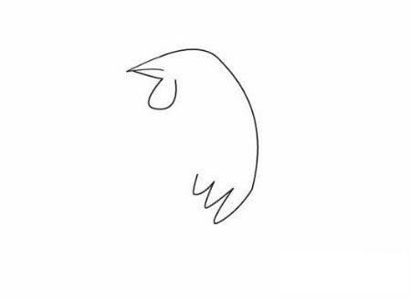 大公鸡的画法图片