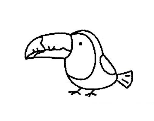大嘴鸟怎么画，大嘴鸟简笔画画法
