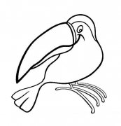 大嘴鸟简笔画图片