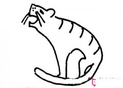 简单的老虎简笔画图片大全