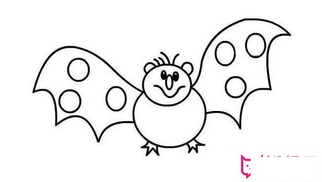 蝙蝠简笔画图片大全,恐怖的蝙蝠