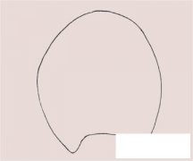 野猪简笔画步骤画法图片大全