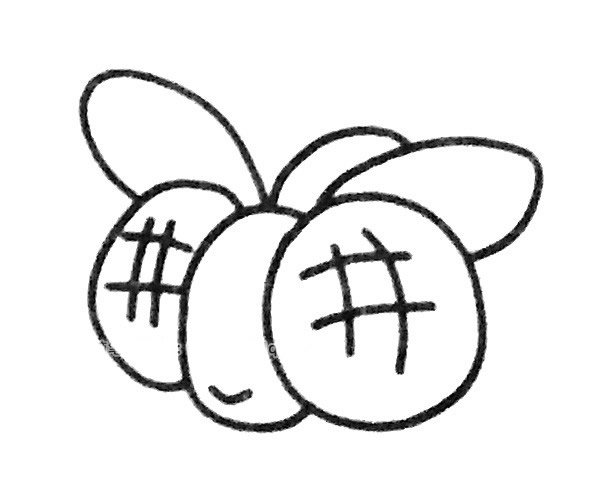 苍蝇简笔画图片