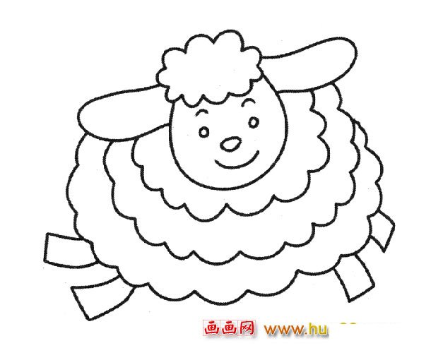 可爱的绵羊_动物简笔画3