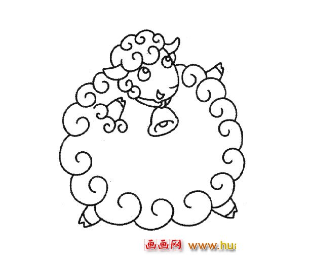 胖胖的绵羊_动物简笔画