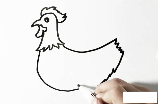 大公鸡简笔画画法步骤图片