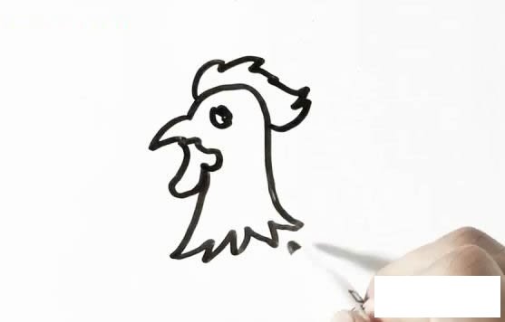 大公鸡简笔画画法步骤图片