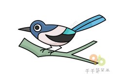 七种鸟类简笔画图片大全 幼儿学画画