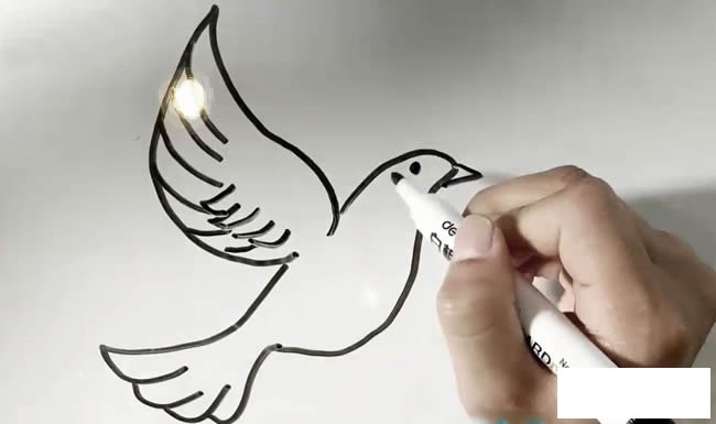 鸽子简笔画 鸽子简笔画图解教程