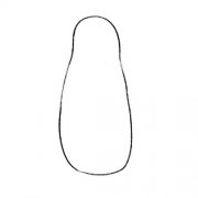 简笔画企鹅的画法步骤图片