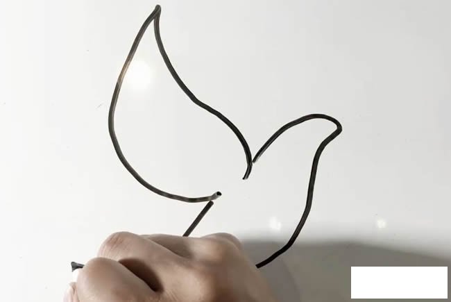 鸽子简笔画 鸽子简笔画图解教程