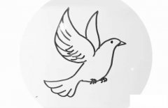 简单的鸽子简笔画步骤图解教程