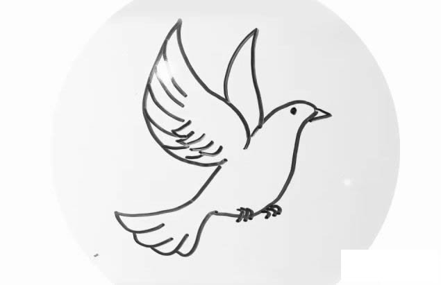 鸽子简笔画 鸽子简笔画图解教程