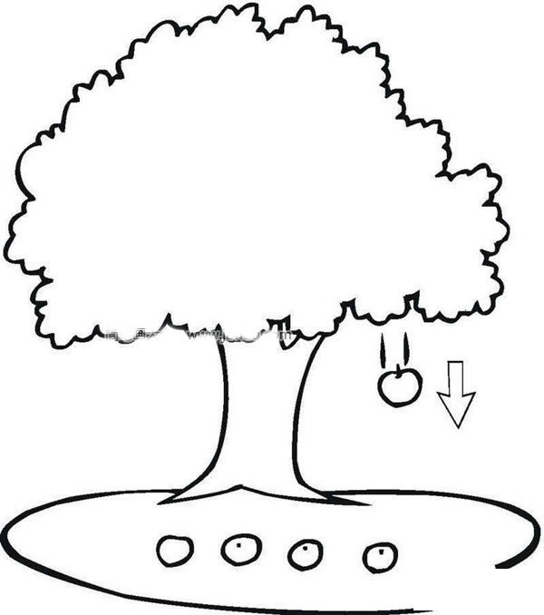 苹果树简笔画图片