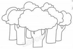 森林简笔画怎么画