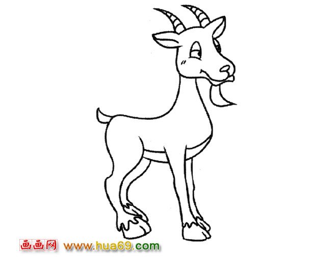 山羊宝宝（简笔画）