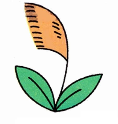 芦苇的画法简笔画