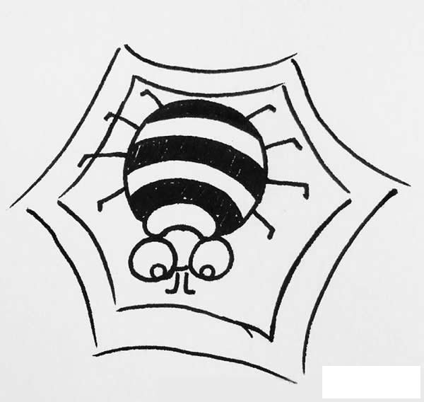 简笔画蜘蛛的画法步骤图解