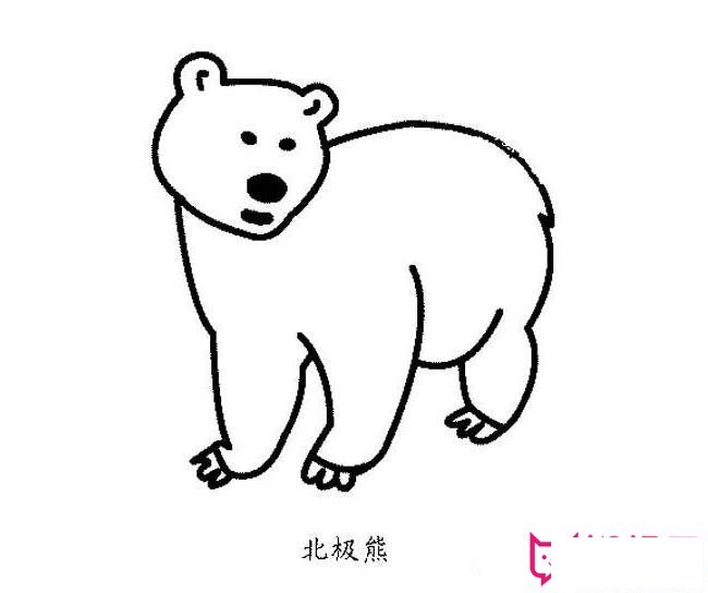 北极熊简笔画图片大全,北极熊怎么画