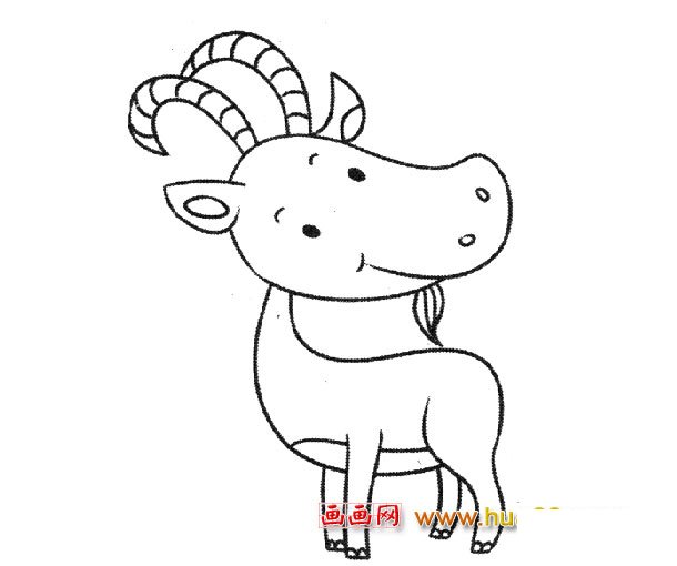 弯角的小山羊_动物简笔画