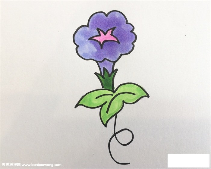 牵牛花的画法