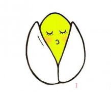 卡通开心果怎么画涂颜色 开心果的画法简笔画教