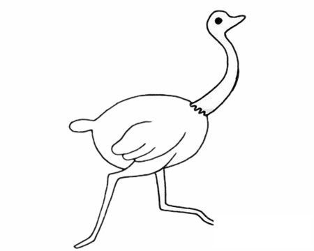 鸵鸟简笔画图片大全作品二