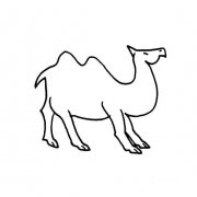 骆驼的简易画法