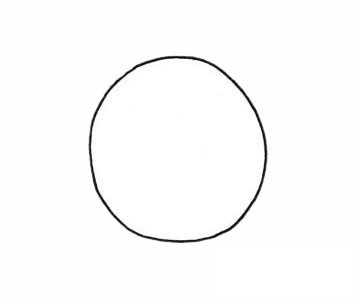 乌龟简笔画图片