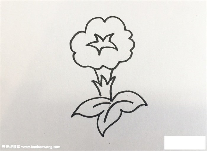 牵牛花的画法