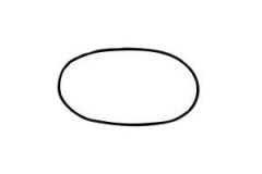 月饼简笔画简单画法