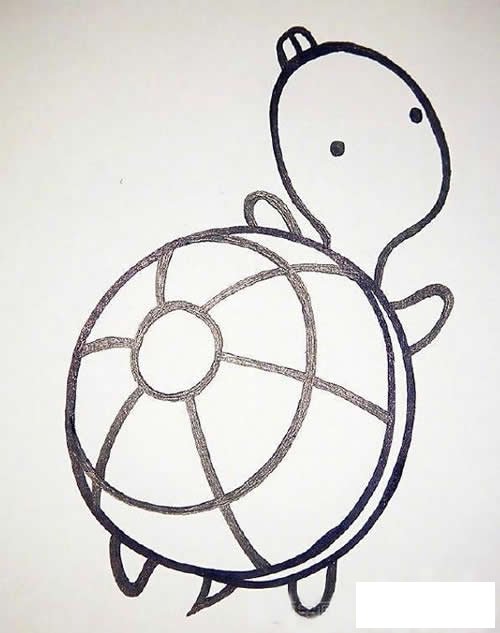 乌龟怎么画简笔画图片