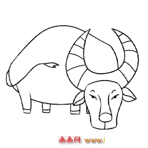 一头大水牛（儿童简笔画）