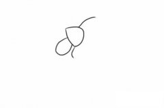 母鸡简笔画的画法步骤图解