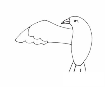 信天翁简笔画图片