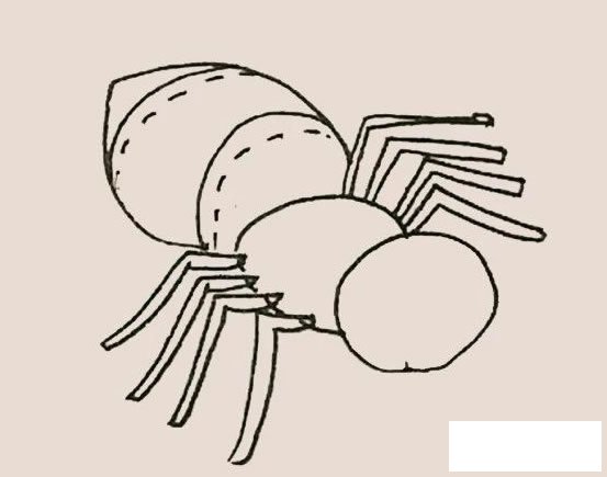 蜘蛛简笔画