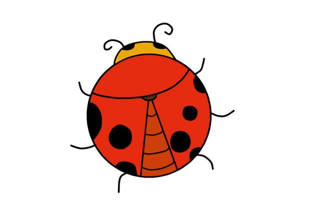 七星瓢虫简笔画步骤图