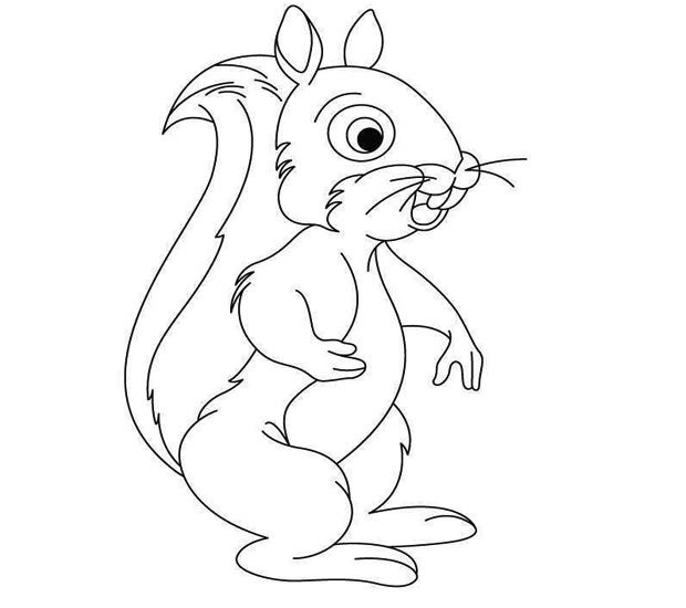 幼儿简笔画:站立的小松鼠