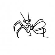 怎样画一只简单的螳螂