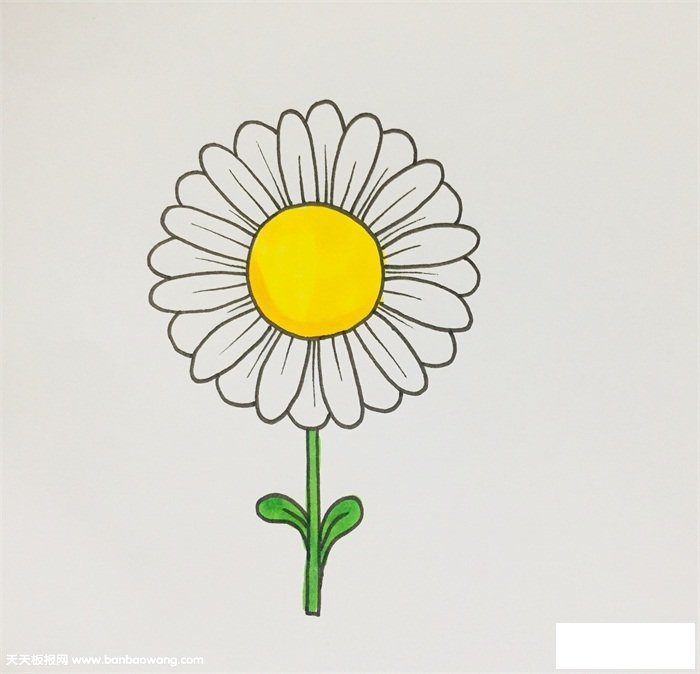 雏菊怎么画