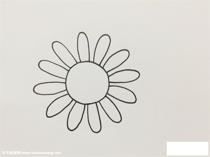 雏菊怎么画