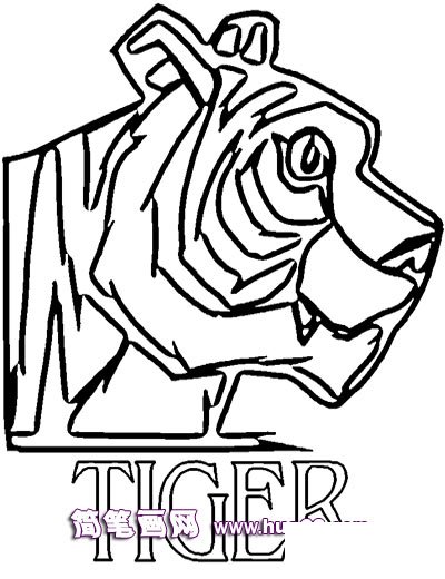 老虎头的侧面简笔画