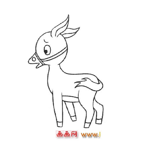 一头小牛崽（儿童简笔画）