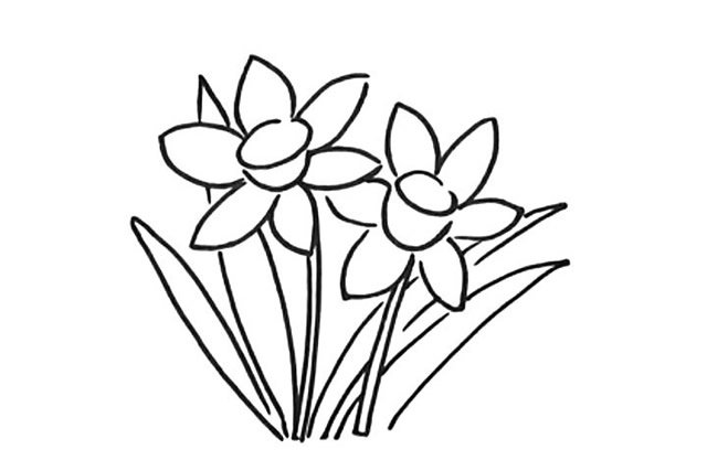 水仙花简笔画教程步骤图