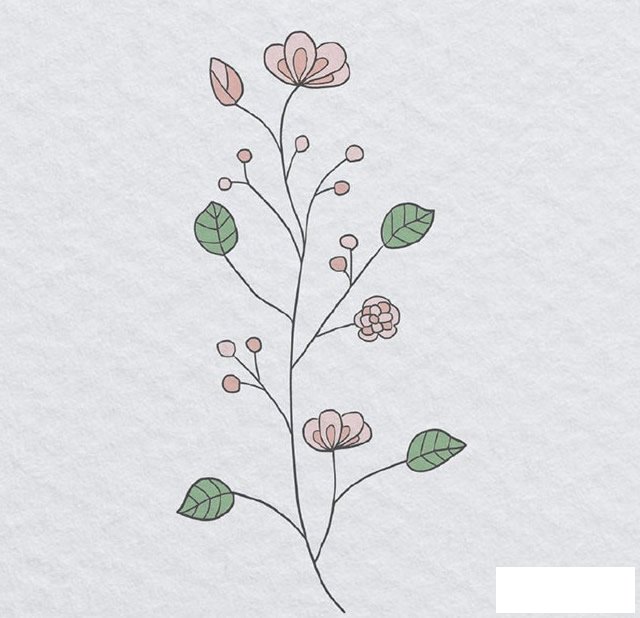 创意花朵简笔画图片