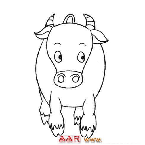 一头小牛（儿童简笔画）