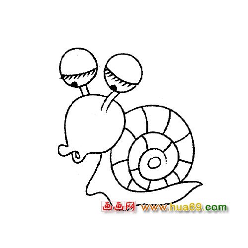 动物简笔画：好奇的小蜗牛