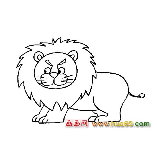 动物简笔画:生气的狮子